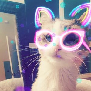 Meet your Posher, Taylor